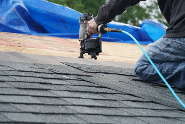 Best Shingle Roofing Installation  in Ethete, WY